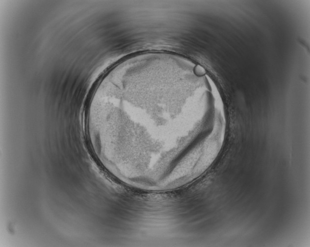 X0000098191032200805221512