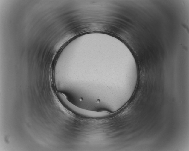X0000098191034200805221512
