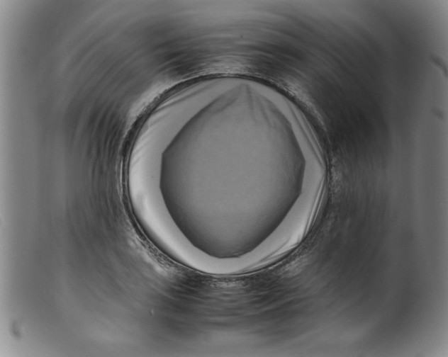 X0000098191035200805221512