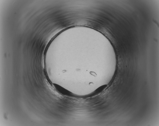 X0000098191036200805221512