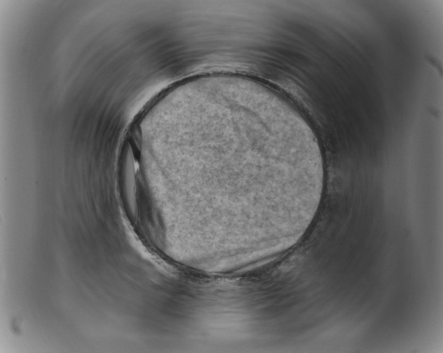 X0000098191038200805221512
