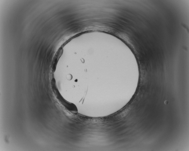 X0000098191040200805221512