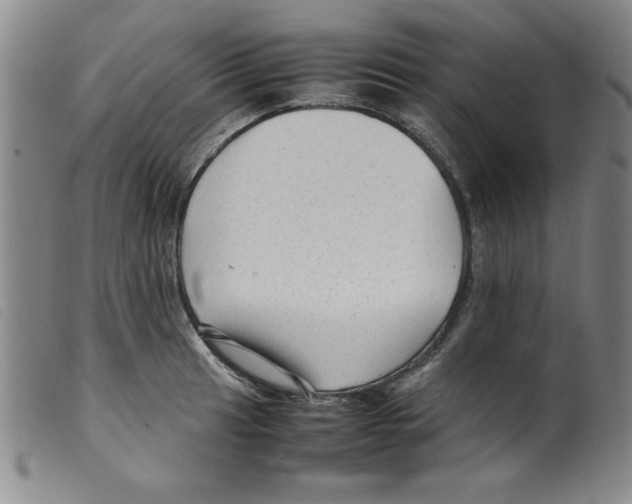 X0000098191041200805221512