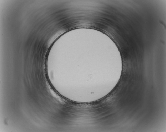 X0000098191042200805221512