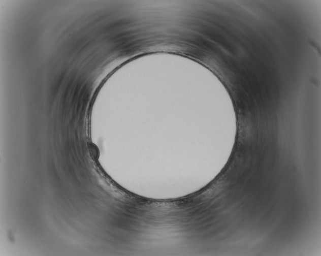 X0000098191044200805221512