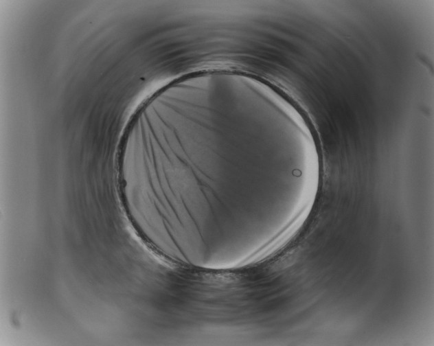 X0000098191045200805221512