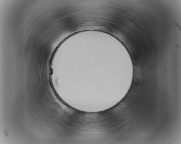 X0000098191046200805221512
