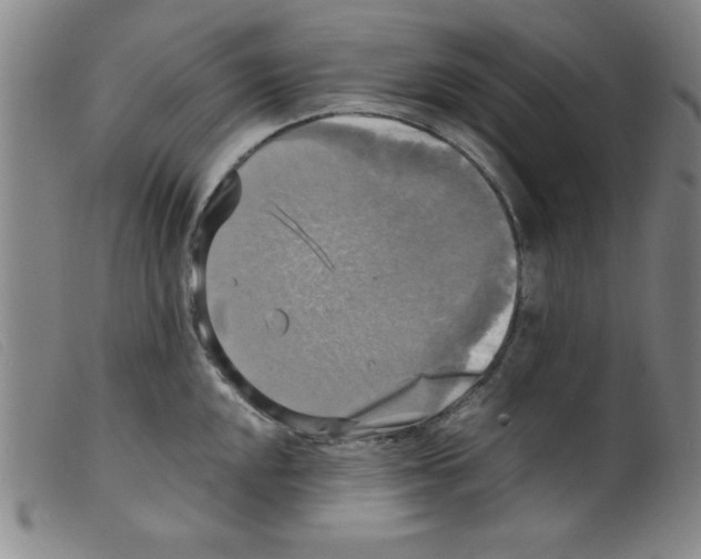 X0000098191048200805221512