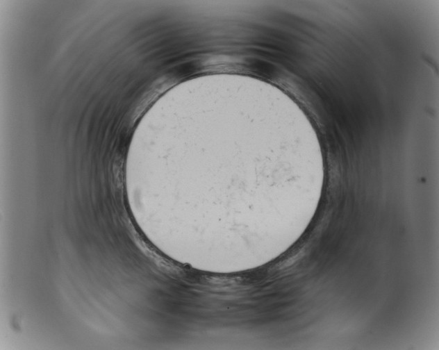 X0000098191049200805221512