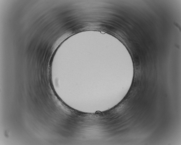 X0000098191050200805221512