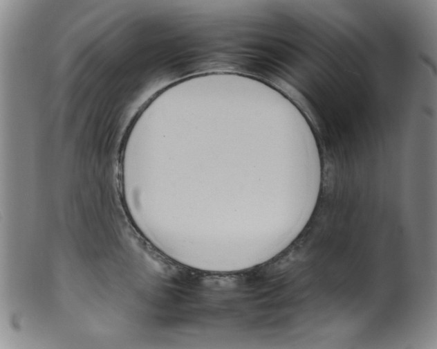 X0000098191051200805221512