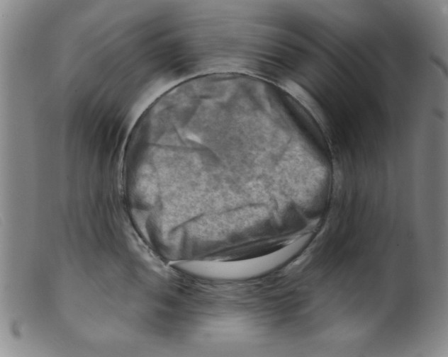 X0000098191052200805221512