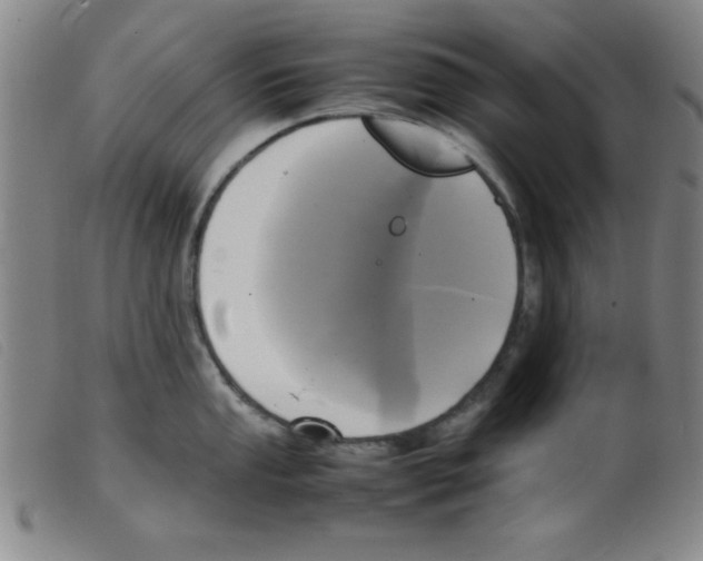X0000098191053200805221512