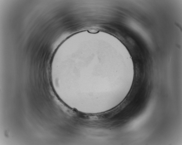 X0000098191054200805221512