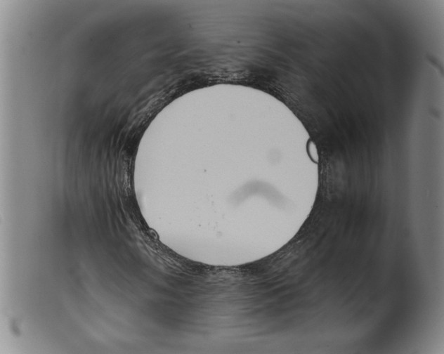 X0000098191058200805221512
