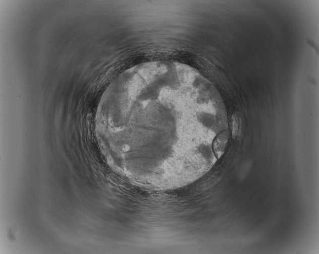 X0000098191059200805221512