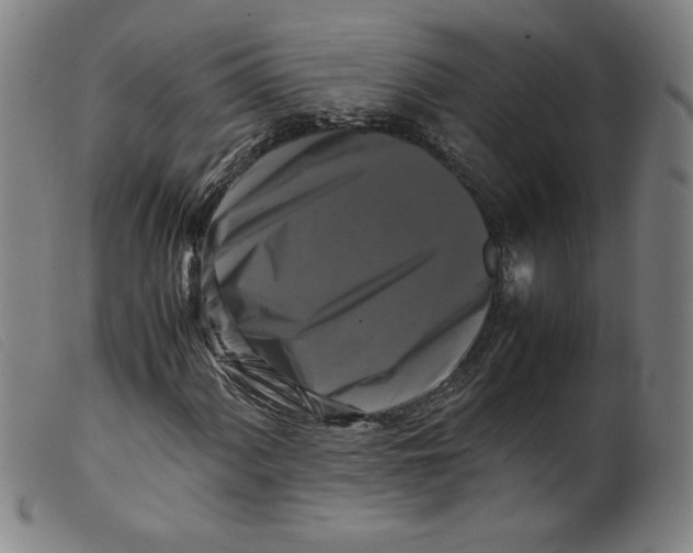 X0000098191060200805221512