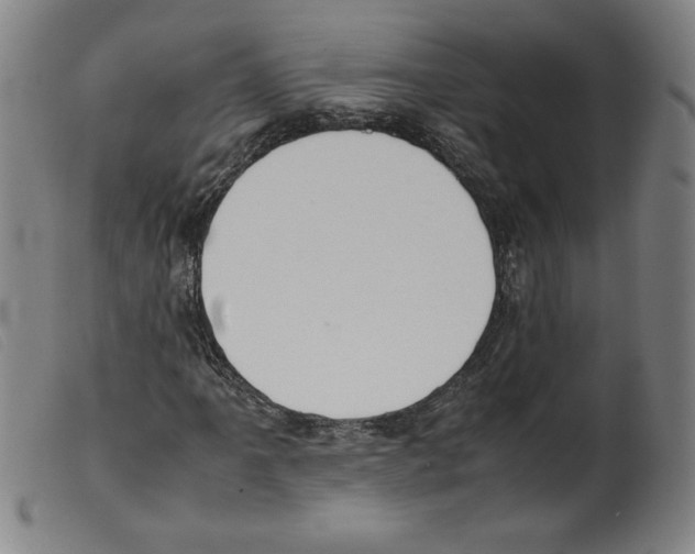 X0000098191061200805221512