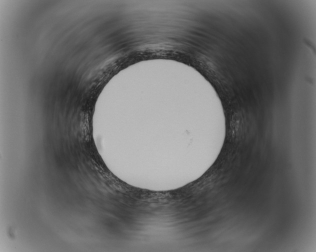 X0000098191062200805221512