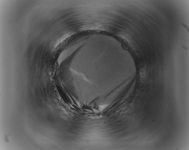 X0000098191064200805221512