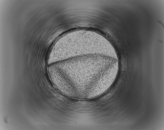 X0000098191065200805221512