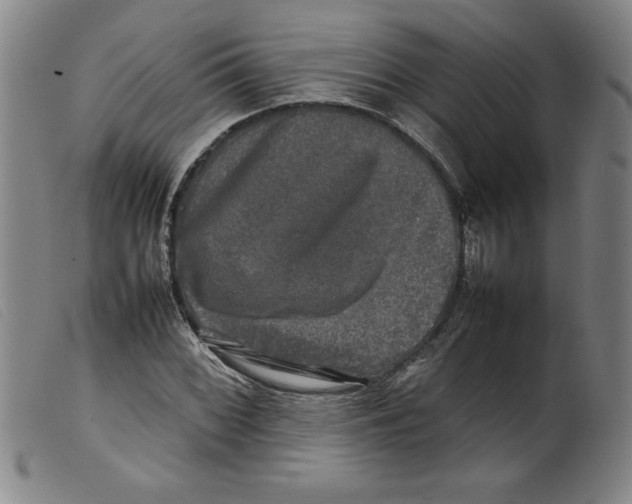 X0000098191068200805221512