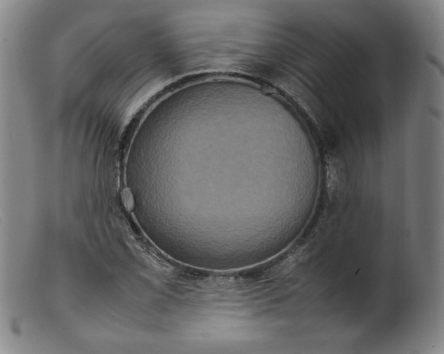 X0000098191069200805221512