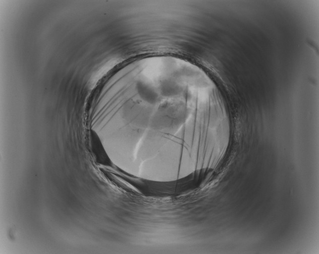 X0000098191071200805221512