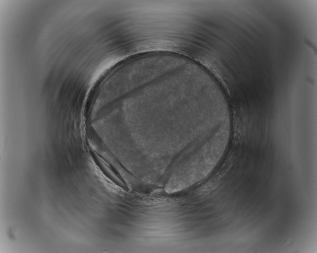 X0000098191072200805221512