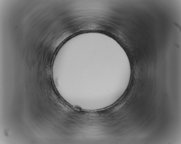 X0000098191073200805221512