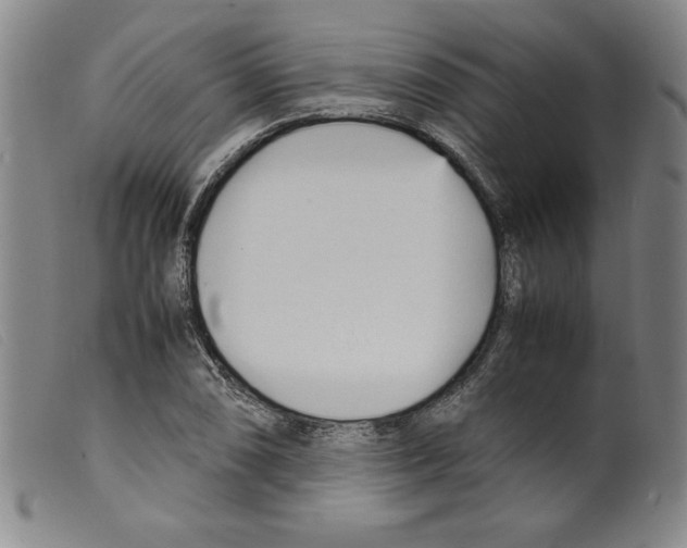 X0000098191074200805221512