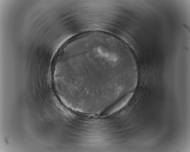 X0000098191076200805221512