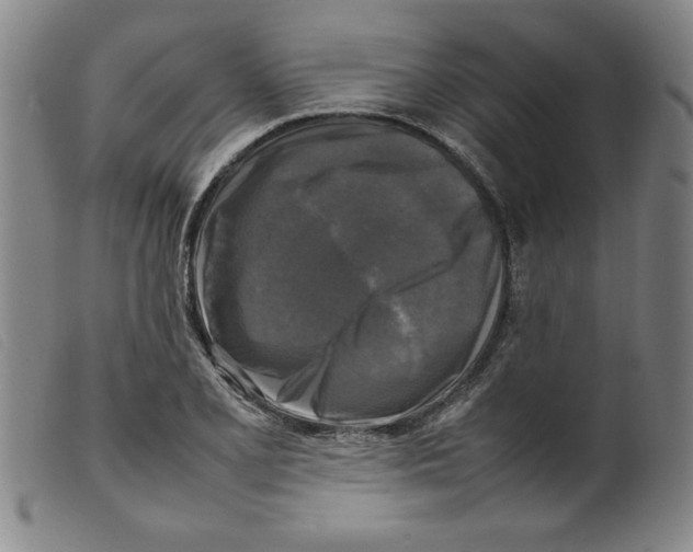 X0000098191077200805221512