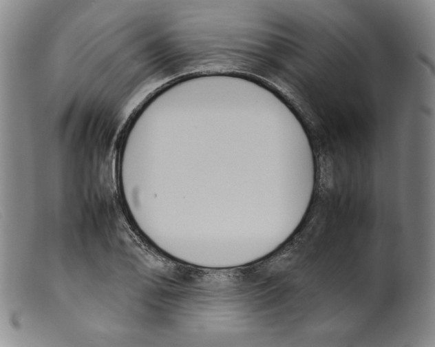 X0000098191078200805221511