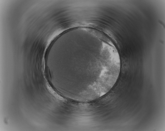 X0000098191080200805221511