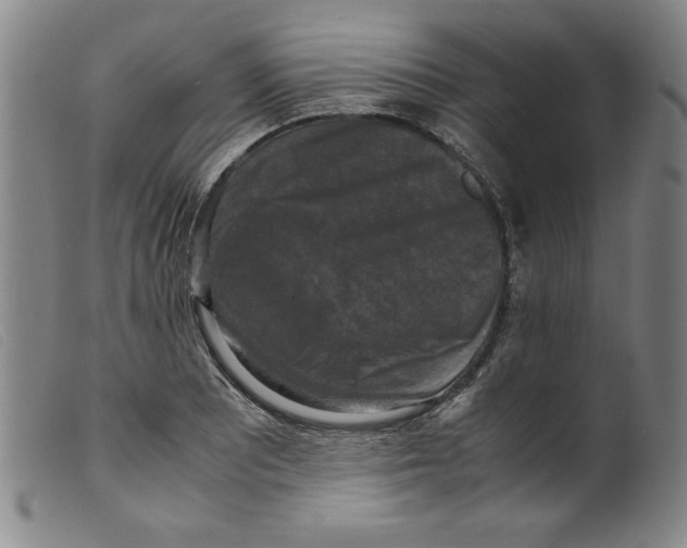 X0000098191081200805221511