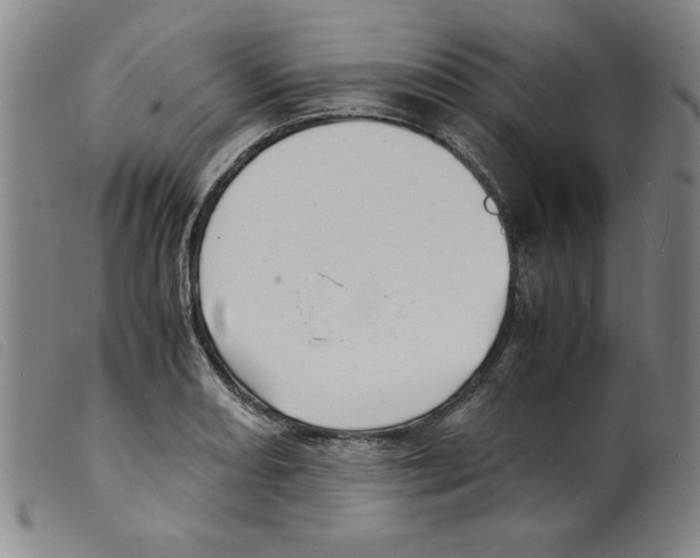 X0000098191082200805221511