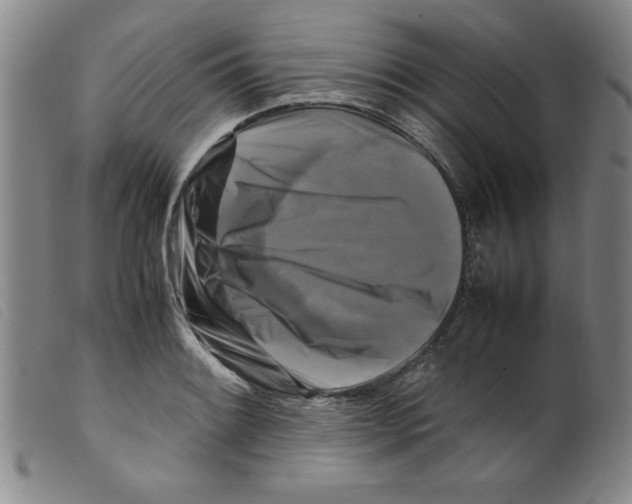 X0000098191084200805221511