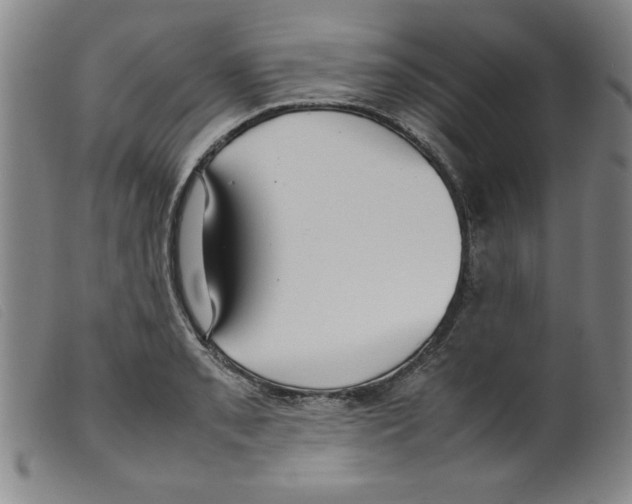 X0000098191085200805221511