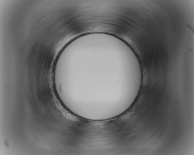 X0000098191086200805221511