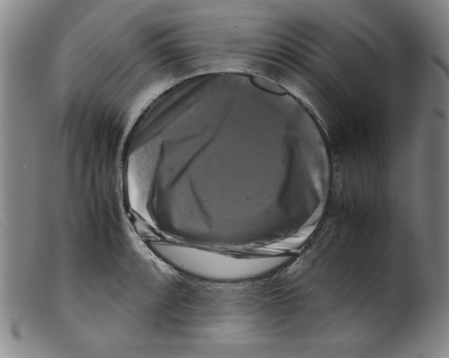 X0000098191088200805221511