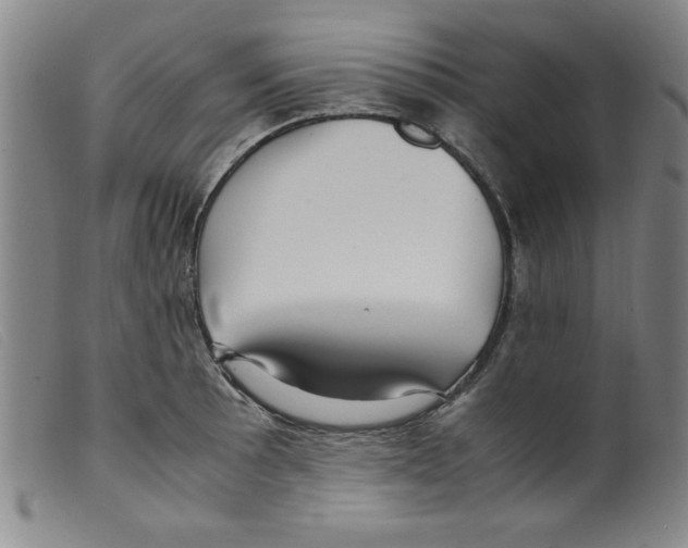 X0000098191089200805221511