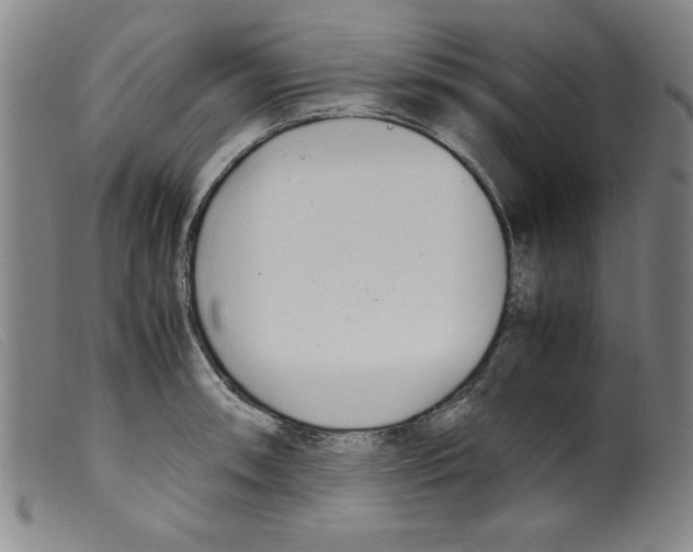 X0000098191090200805221511