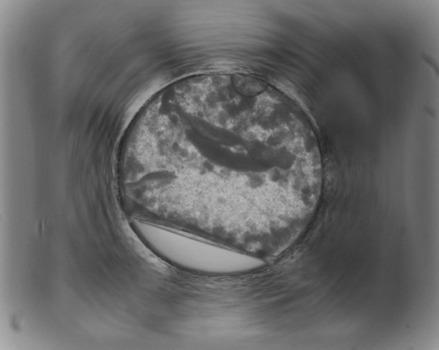 X0000098191091200805221511