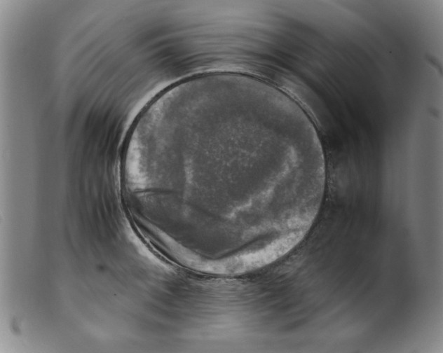 X0000098191092200805221511