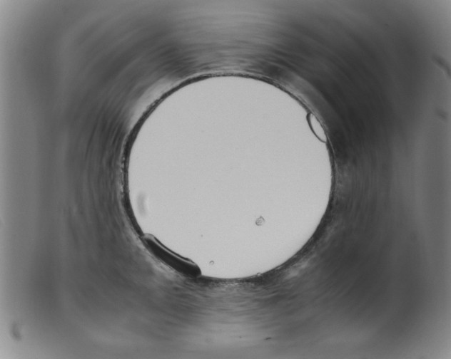 X0000098191093200805221511