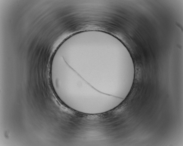X0000098191094200805221511