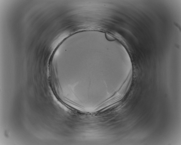 X0000098191095200805221511