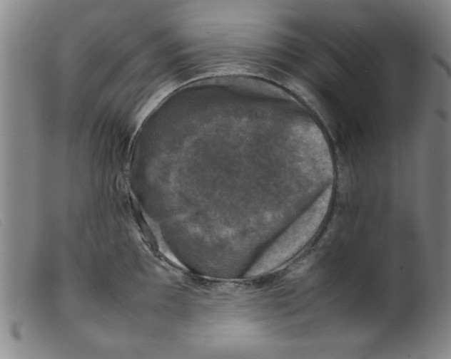 X0000098191097200805221511
