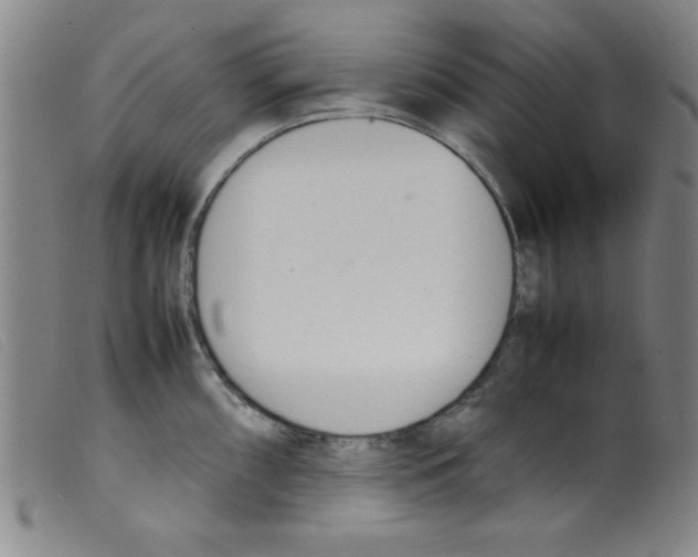 X0000098191098200805221511